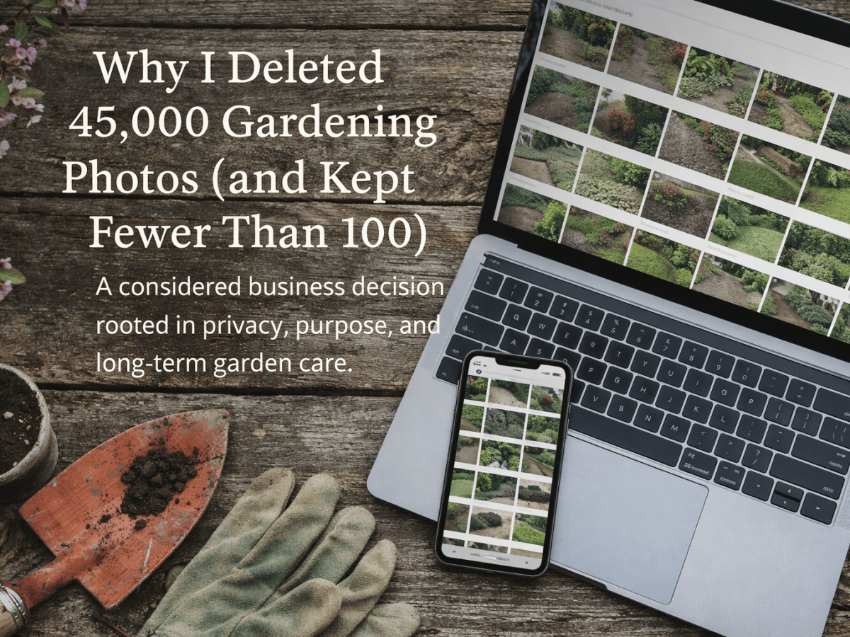 Why I Deleted 45,000&nbsp;Photos