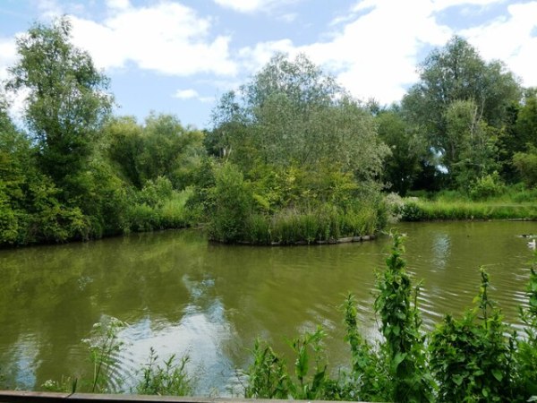 Gazen Salts Nature&nbsp;Reserve