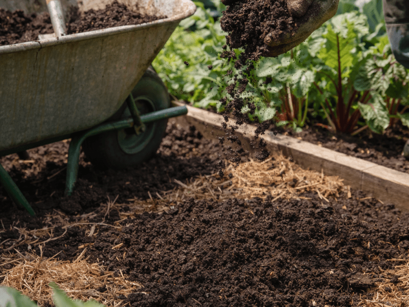 How to Improve Your&nbsp;Soil