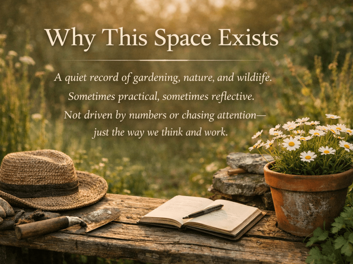 Why This Space&nbsp;Exists