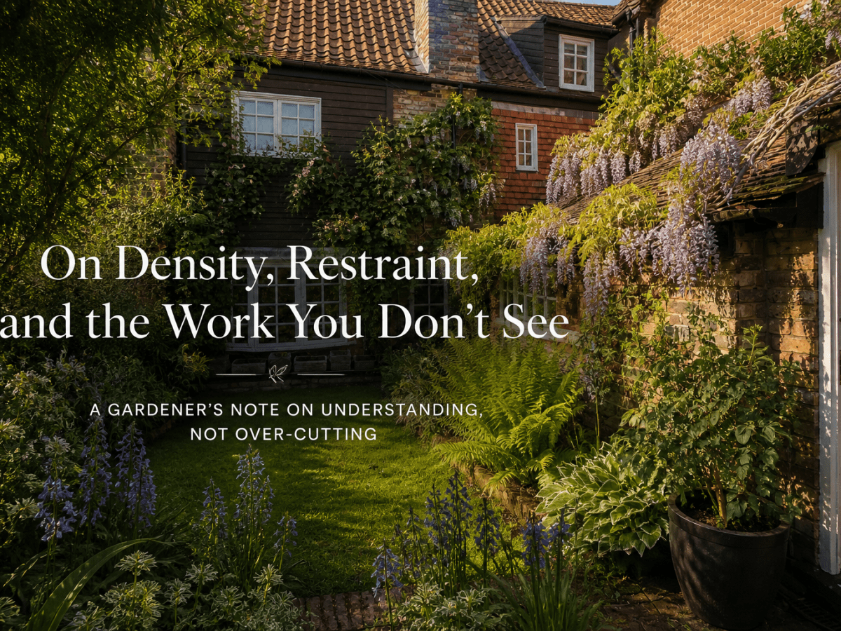 On Density, Restraint, and the Work You Don’t&nbsp;See
