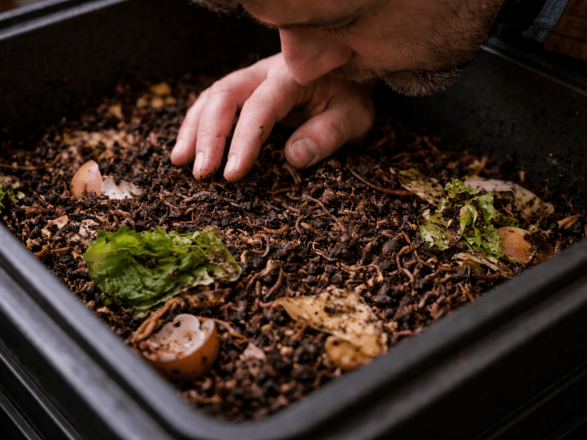 Working With Worms