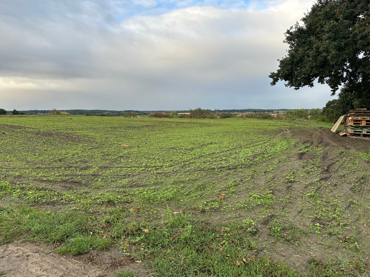 The Soil Hub&nbsp;Revisited